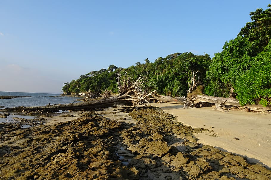 Wandoor Beach