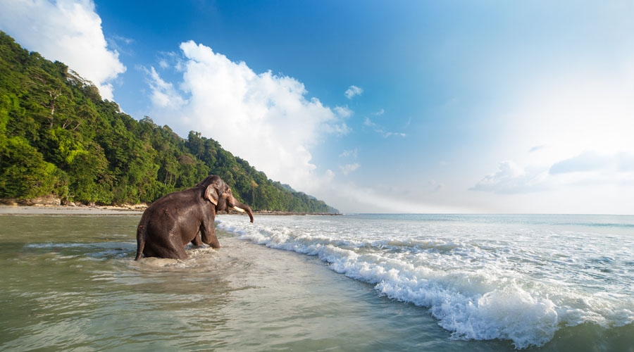 Havelock – Neil – Port Blair Explorer